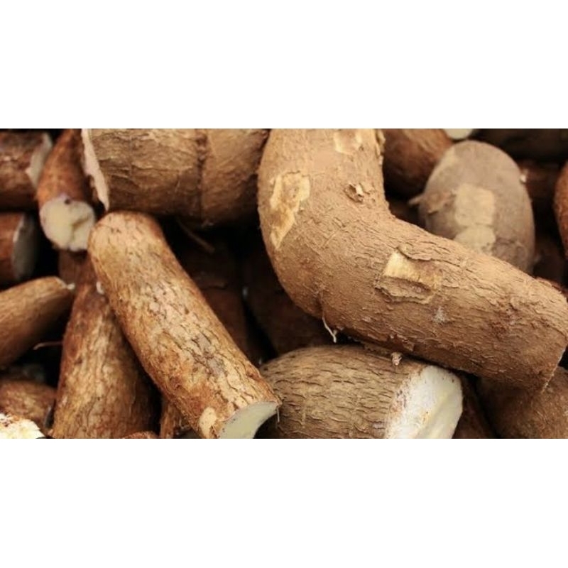 

singkong Bandung 1kg khusus order malam