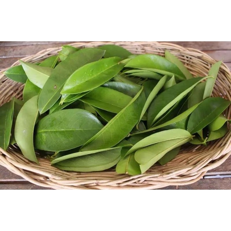 

DAUN SIRSAK ISI 50 LEMBAR FRESH OBAT KANKER DAN ASAM URAT