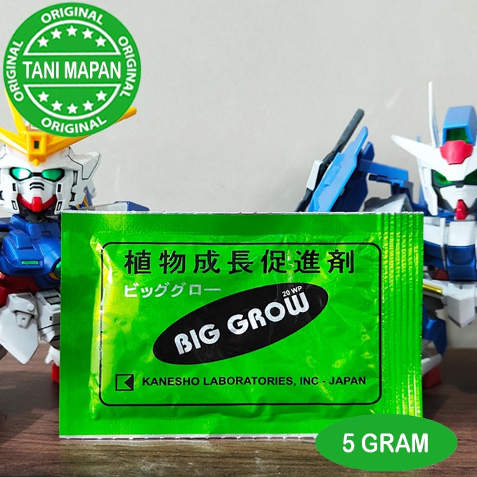 

Harga Termurah ZPT - BIG GROW 5 gram - GA3 51