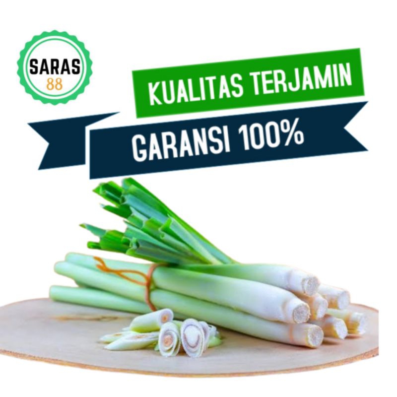 

Sereh serai 250gram bumbu dapur sayuran sayur segar