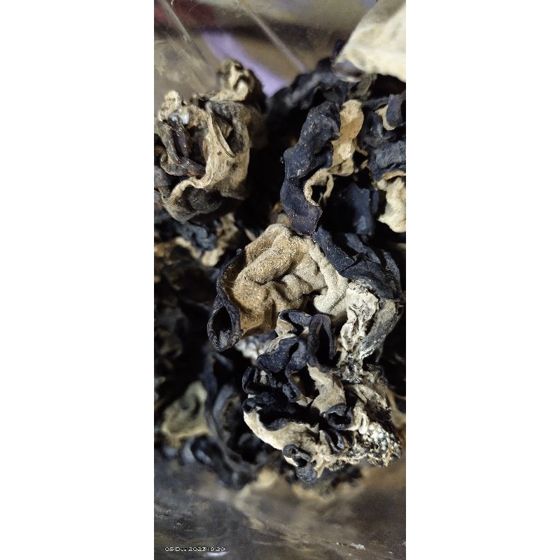 Jamur Kuping KERING/Jamur Hitam PUTIH 25 GRAM