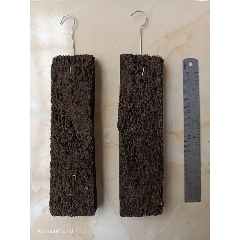 Media Anggrek / Papan Pakis /