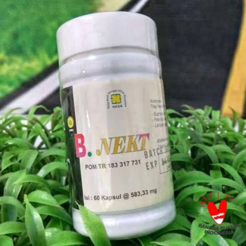 bnekt bnekt original nasa obat paru-paru obat batuk berdahak herbal nasa herbak untuk paru paru