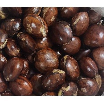 

Jengkol 1kg