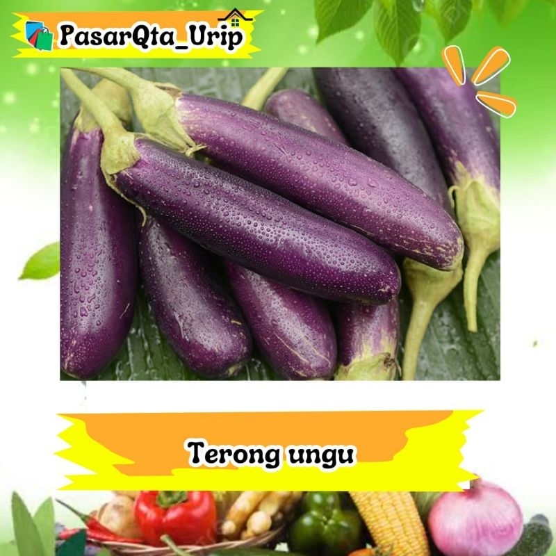 

Terong perbiji / pasar online makassar