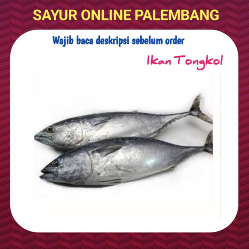 

Ikan Tongkol Segar - Pasar Toko Sayur Ikan Segar Online Palembang