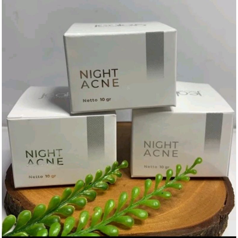 Jealous Acne Night Cream Mengatasi Jerawat Komedo Bruntusan Berminyak Jerawat Sensitif l