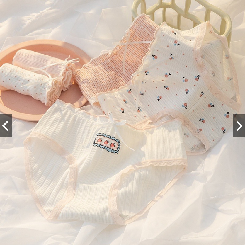 Celana Dalam Wanita Imut Fashion Jepang Motif Lucu Cd Undies CS33