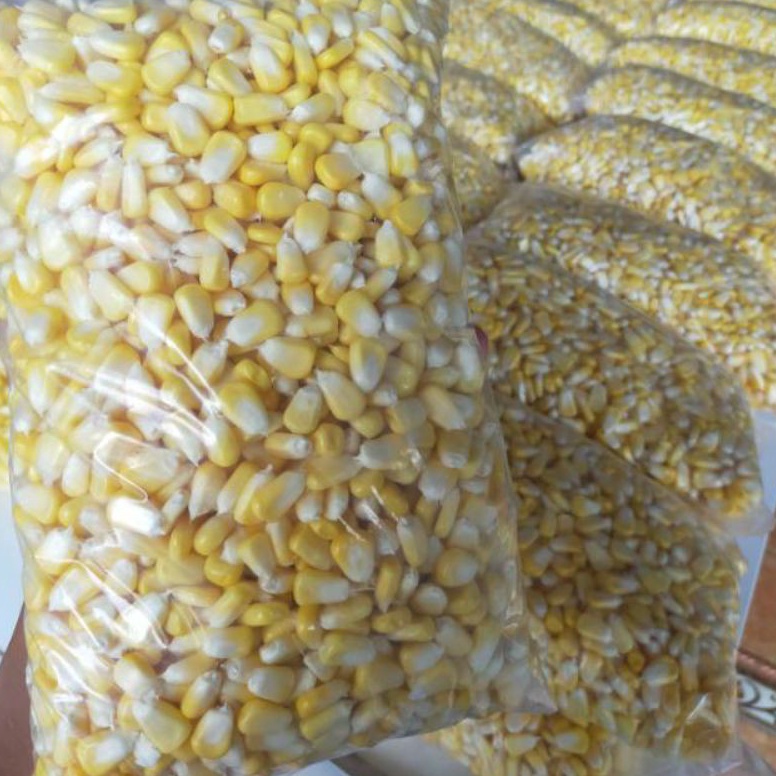 

≛ jagung pipil manis 1 kg 7255