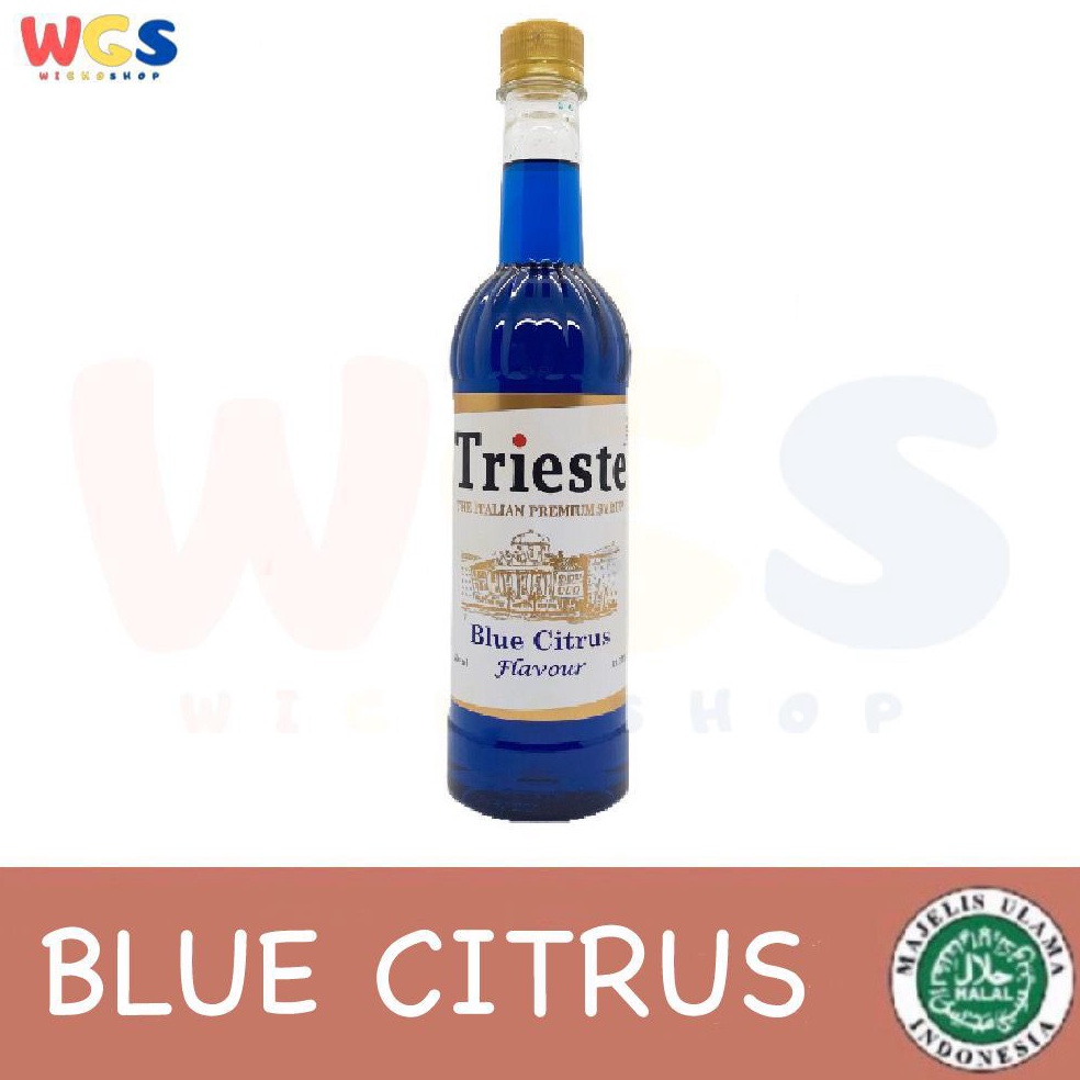 

➾ Trieste Syrup Premium Blue Citrus / Blue Lagoon / Blue Curacao Flavored Syrup 650ml Ready Stok