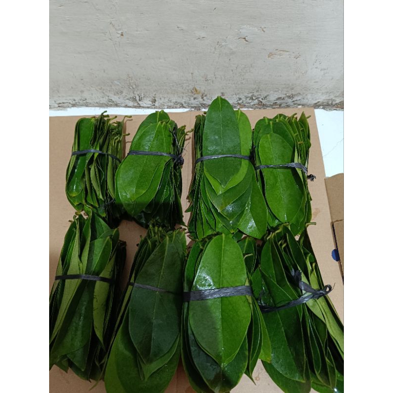 

daun segar sirsak/nangka belanda