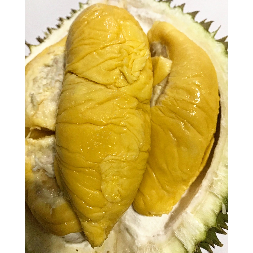 

DURIAN MUSANG KING FRESH ASLI PAHANG MALAYSIA!!! FULL GARANSI!!!