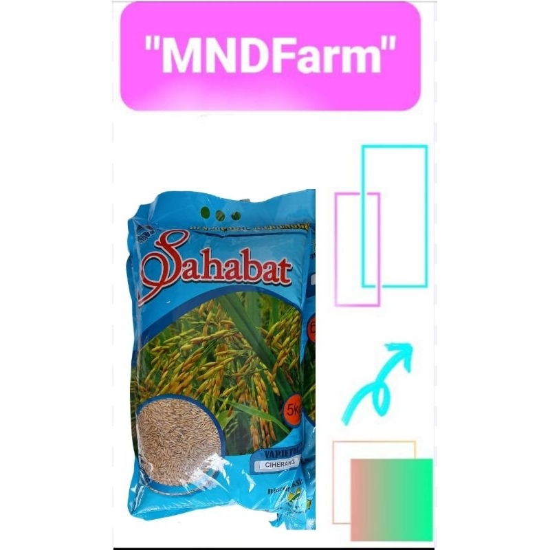 Bibit padi Ciherang (5 kg)