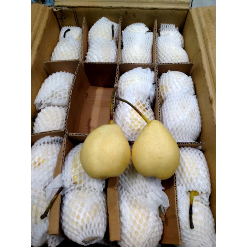 

pear yali 1kg/pir yali fress/buah bandung segarr