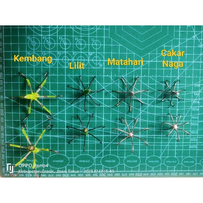 Kail garong baronang, tipe kembang, matahari, lilitan, cakar naga, lumut