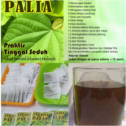 

TEH SEDUH DAUN PALIASA