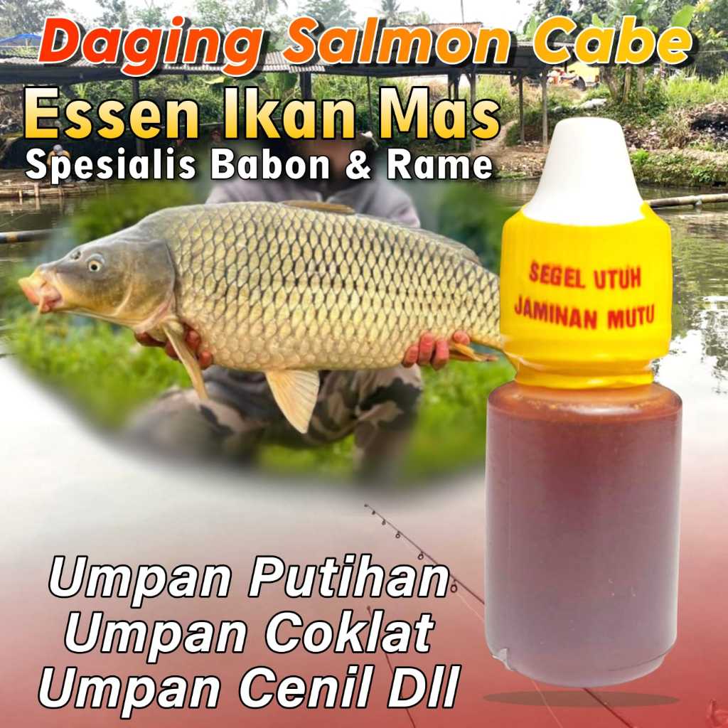 Essen Ikan Mas Paling Gacor, Essen Ikan Mas Babon Paling Ampuh, Essen Ikan Mas