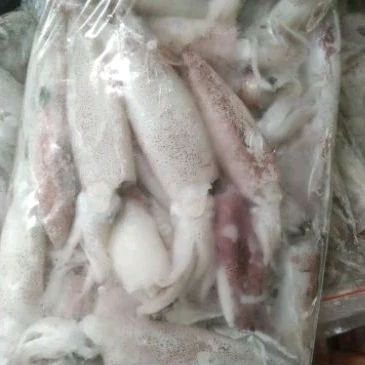 

Cumi Sero Fresh 1kg