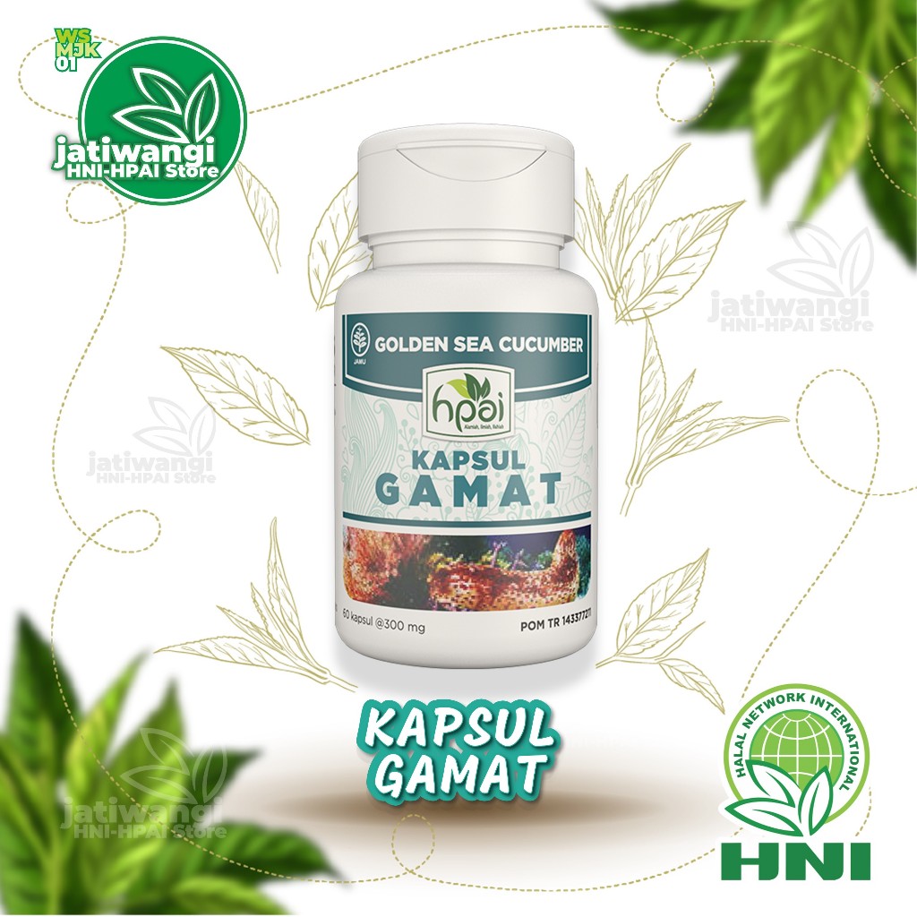 [ HNI HPAI ] Kapsul herbal nyeri sendi GAMAT KAPSUL