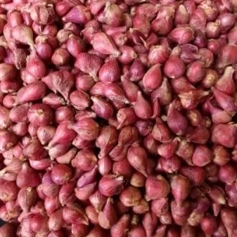 

BAWANG MERAH UKURAN SEDANG 1KG