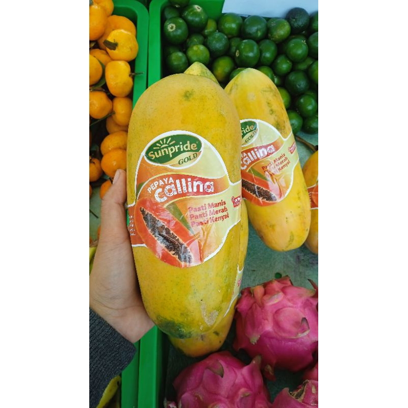 

Pepaya Callina Manis Sunpride 1 buah
