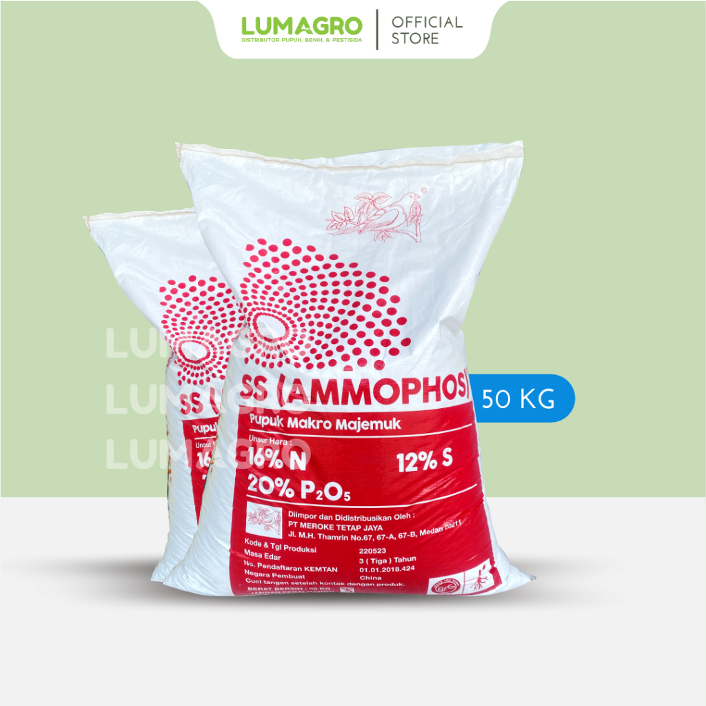 Pupuk SS Ammophos 50kg Meroke Amonium Pospat Nutrisi Pertumbuhan Fase Vegetatif Tanaman