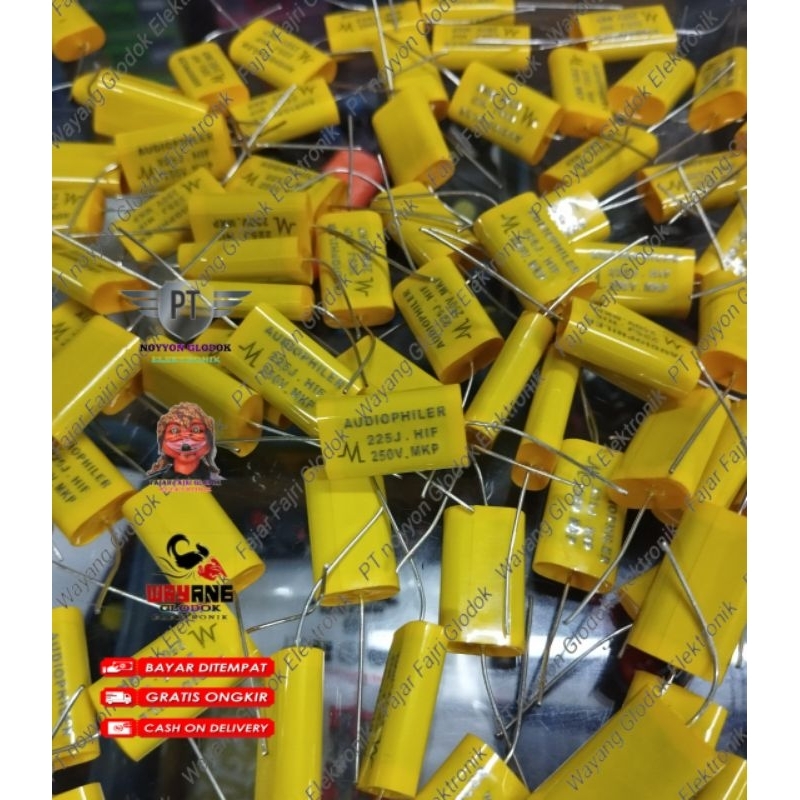AudioPhiler 225J 250v Audio Philer 225 J 250 volt