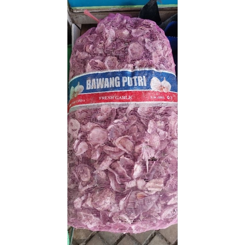 

oyster kulit kerang kemasan 15kg
