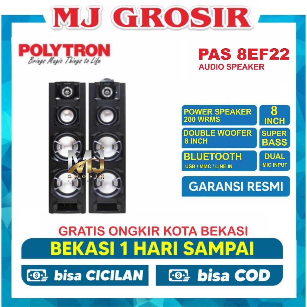 POLYTRON SPEAKER AUDIO PAS 8EF22 PAS8EF22 USB BLUETOOTH