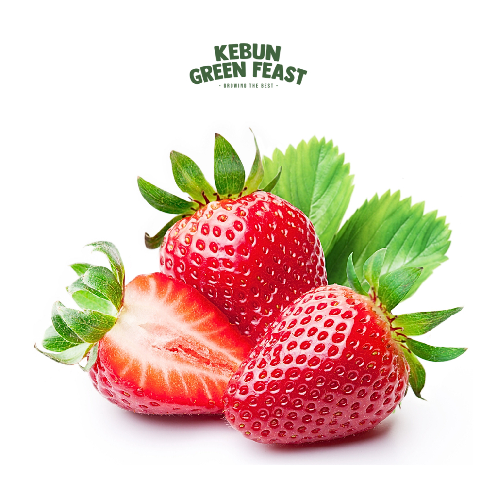 Strawberry Korea - Fresh Fruit Import