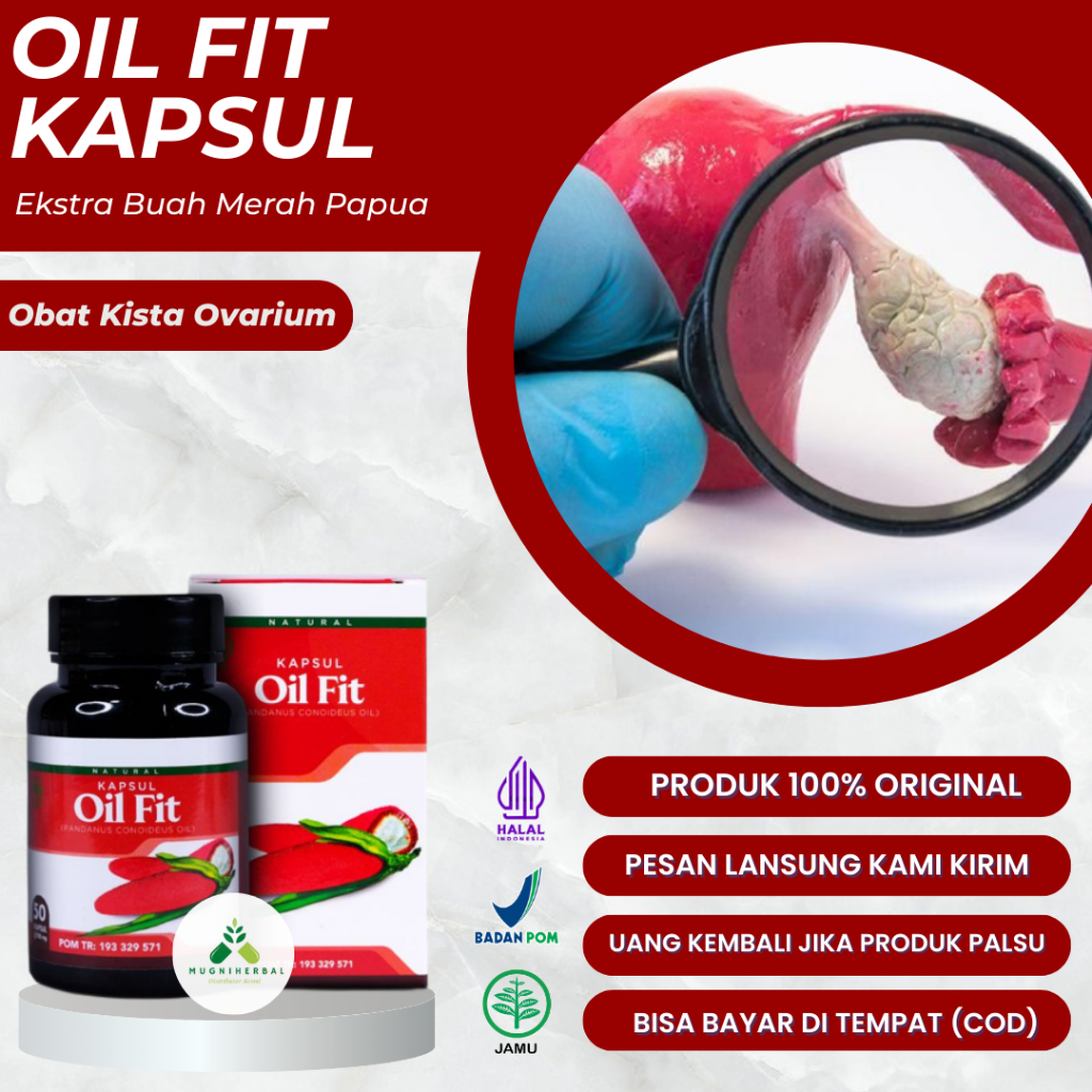 Oil Fit Kapsul - Obat Kista Ovarium, Kista Bartholin, Kista Rahim, Kista Endometriosis, Kista Miom, 