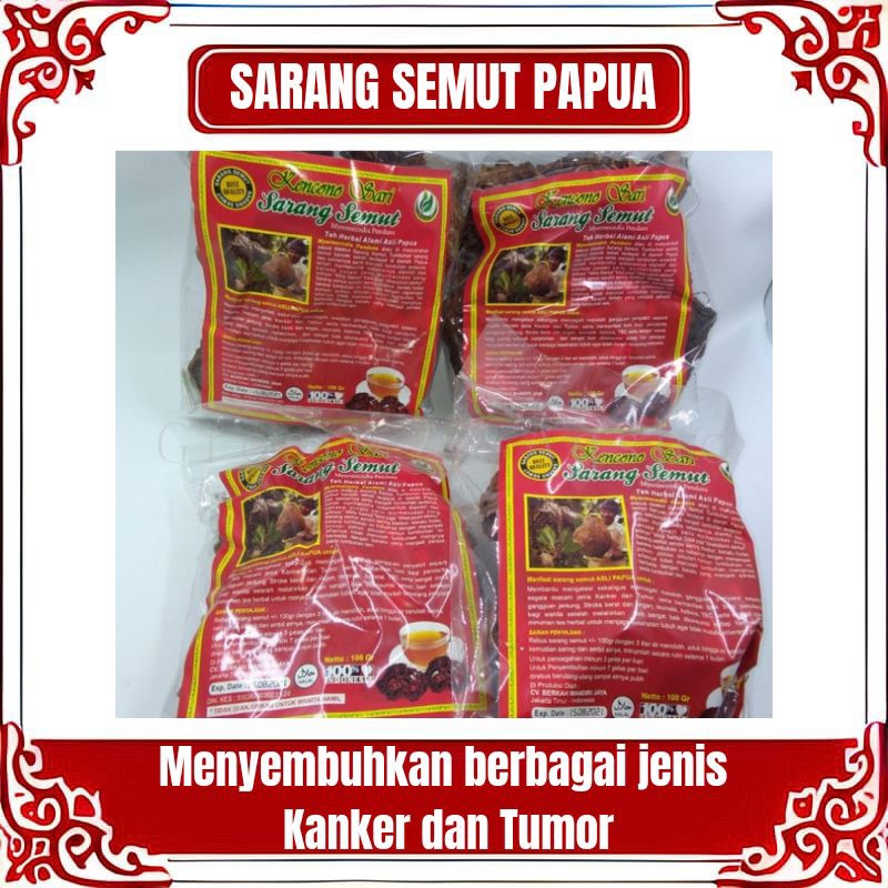 

SARANG SEMUT PAPUA 100 GRAM ORIGINAL KONCONO SARI