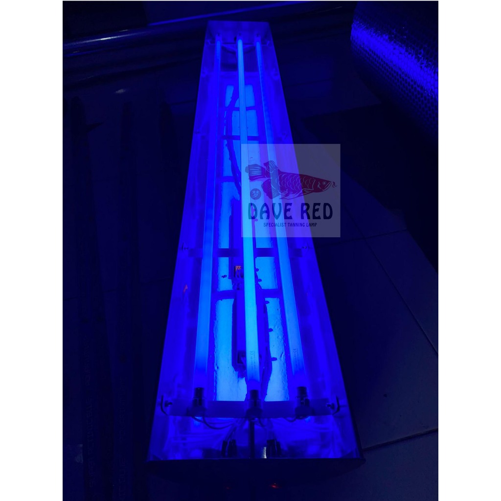 3 Aquazonic Biru / Putih  lampu Taning Arwana Super Red 100% Rapih