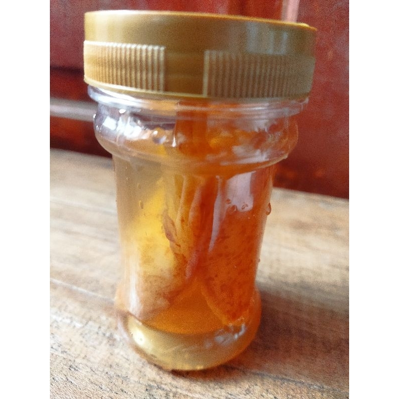 

Bibit Scoby Jamur Kombucha organik tea