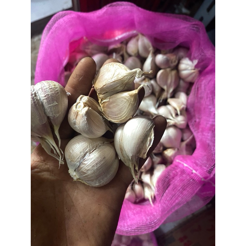 

Bawang putih kating bersih berkualitas