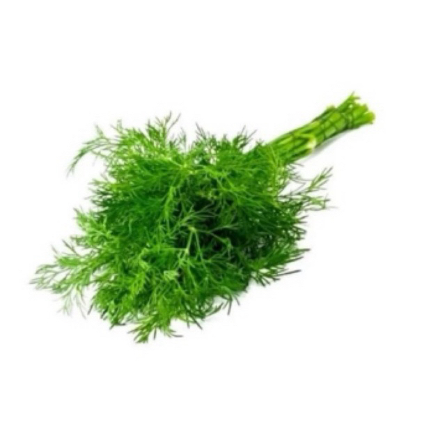 

daun dill fresh instant only