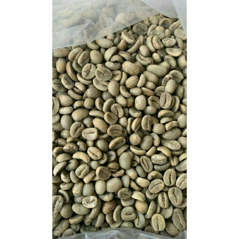 

BIJI ASLI 100% TANAH GAYO BENER MERIAH