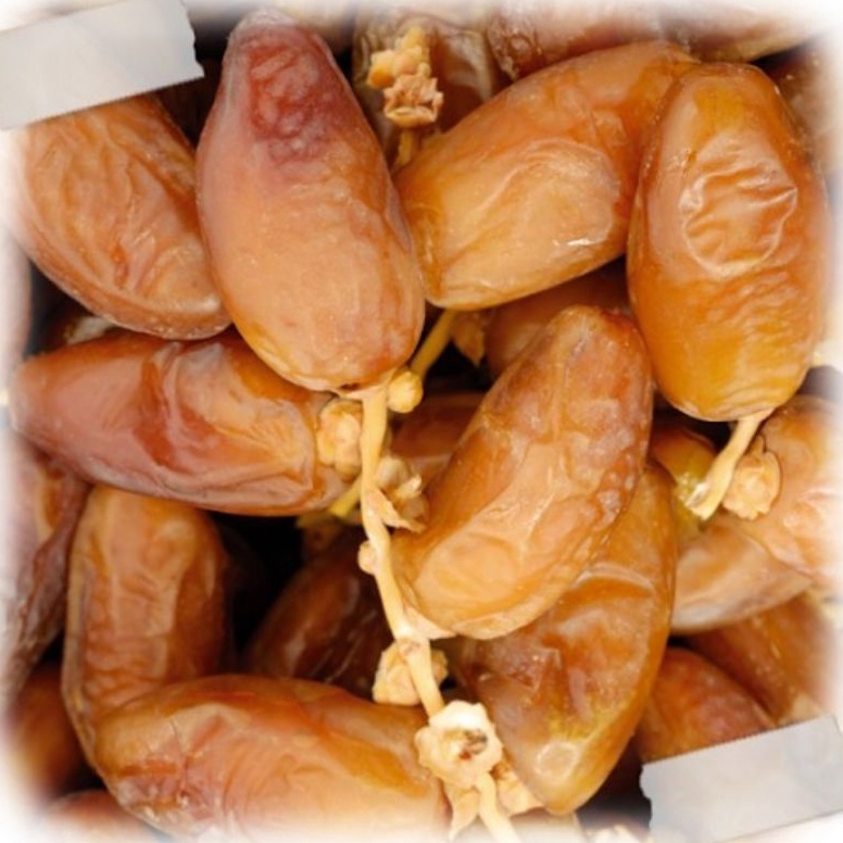 

[♣J32/] Kurma Tunisia Tangkai 1kg//kurma tunisia tangkai fress Special