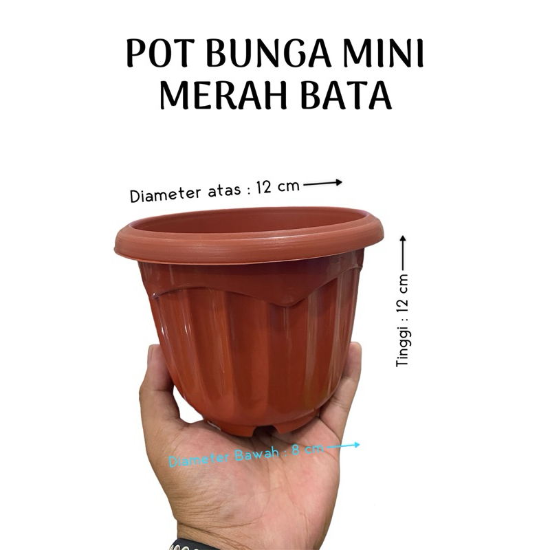 Pot Bunga Merah Bata 15 cm JD / Pot Bunga Mini / Pot Bunga Indor / Pot Bungan Kecil / Pot Bunga Serb