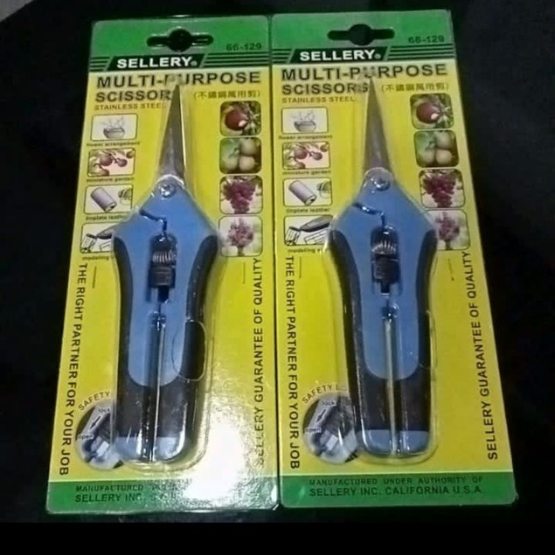 

gunting lurus sellery stainlees steel