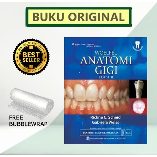 ORIGINAL ANATOMI GIGI EDISI 8 - WOELFEL