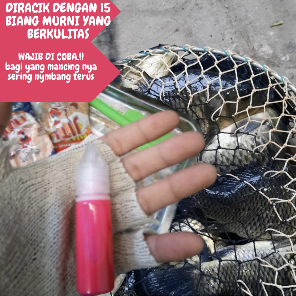 Essen oplosan untuk ikan mas indukan/rame