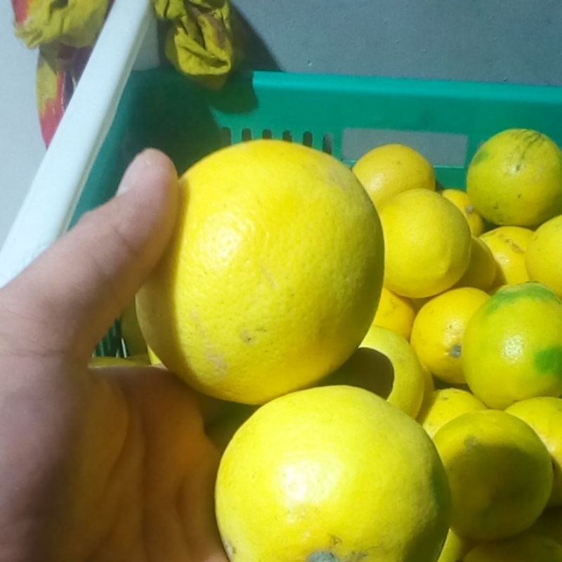 

Lemon