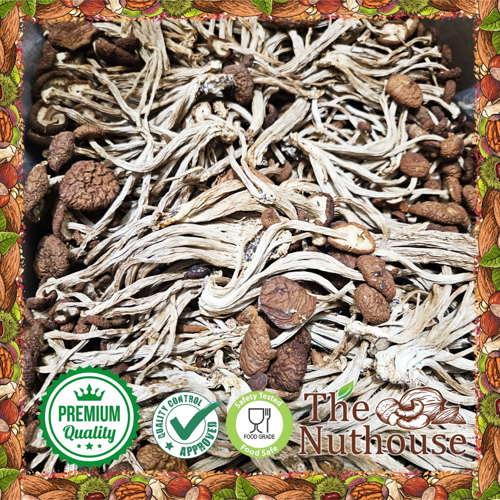 

250gr Yanagi Matsutake Mushroom / Cyclocybe Aegerita Fungus / Jamur Pohon Teh / Poplar Mushroom