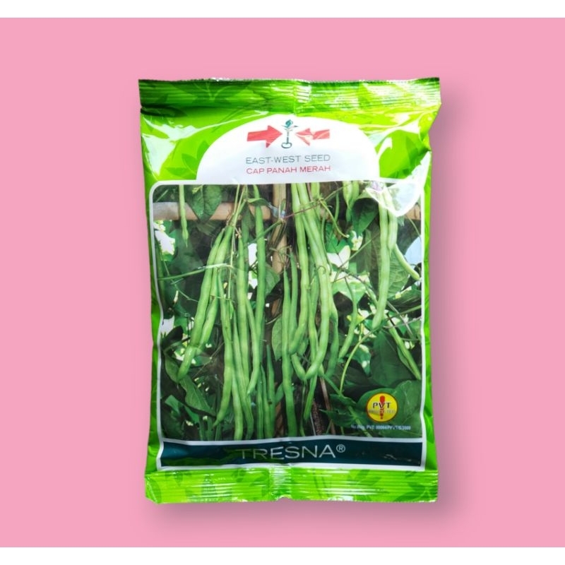 500 gr BENIH BUNCIS TRESNA ( Kemasan Original  )