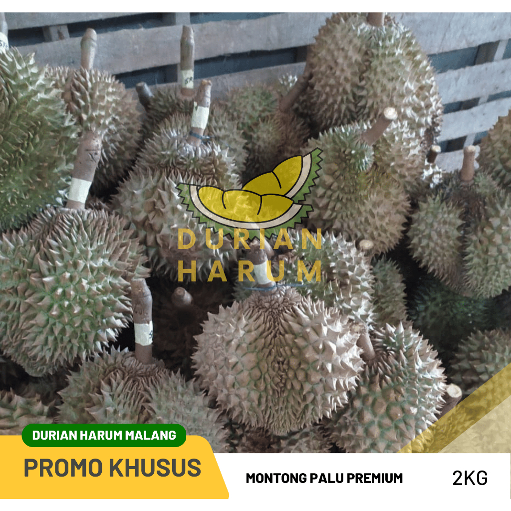 

Montong Palu Utuh Premium 2kg