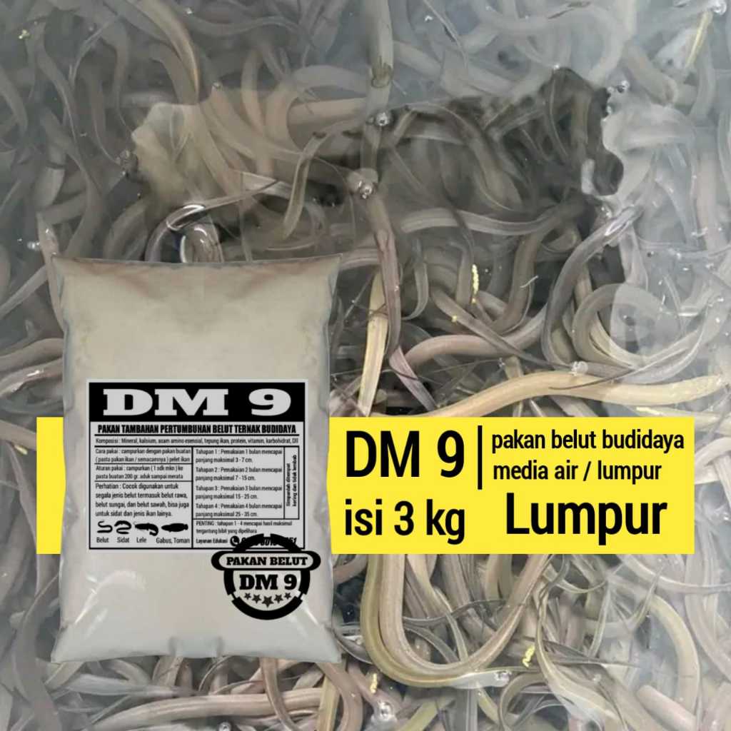 pakan belut ternak media lumpur 3 kg