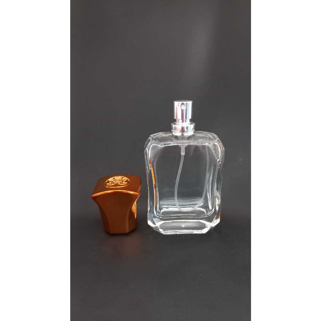 Botol V32408 50ml easypump Silver tutup unik perpcs