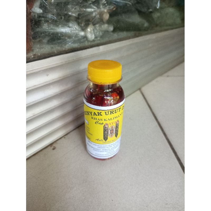 minyak urut dayak khas kalimantan