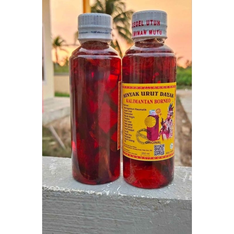 Minyak Urut Dayak Asli Kalimantan Barat